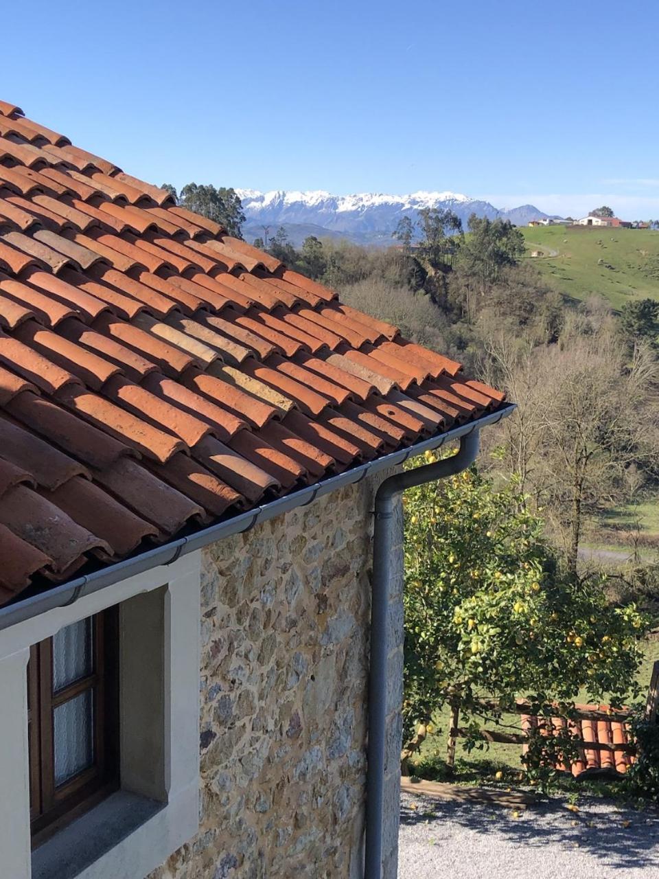 Casa Rural Trebol4Hojas San Pedro  Exteriör bild