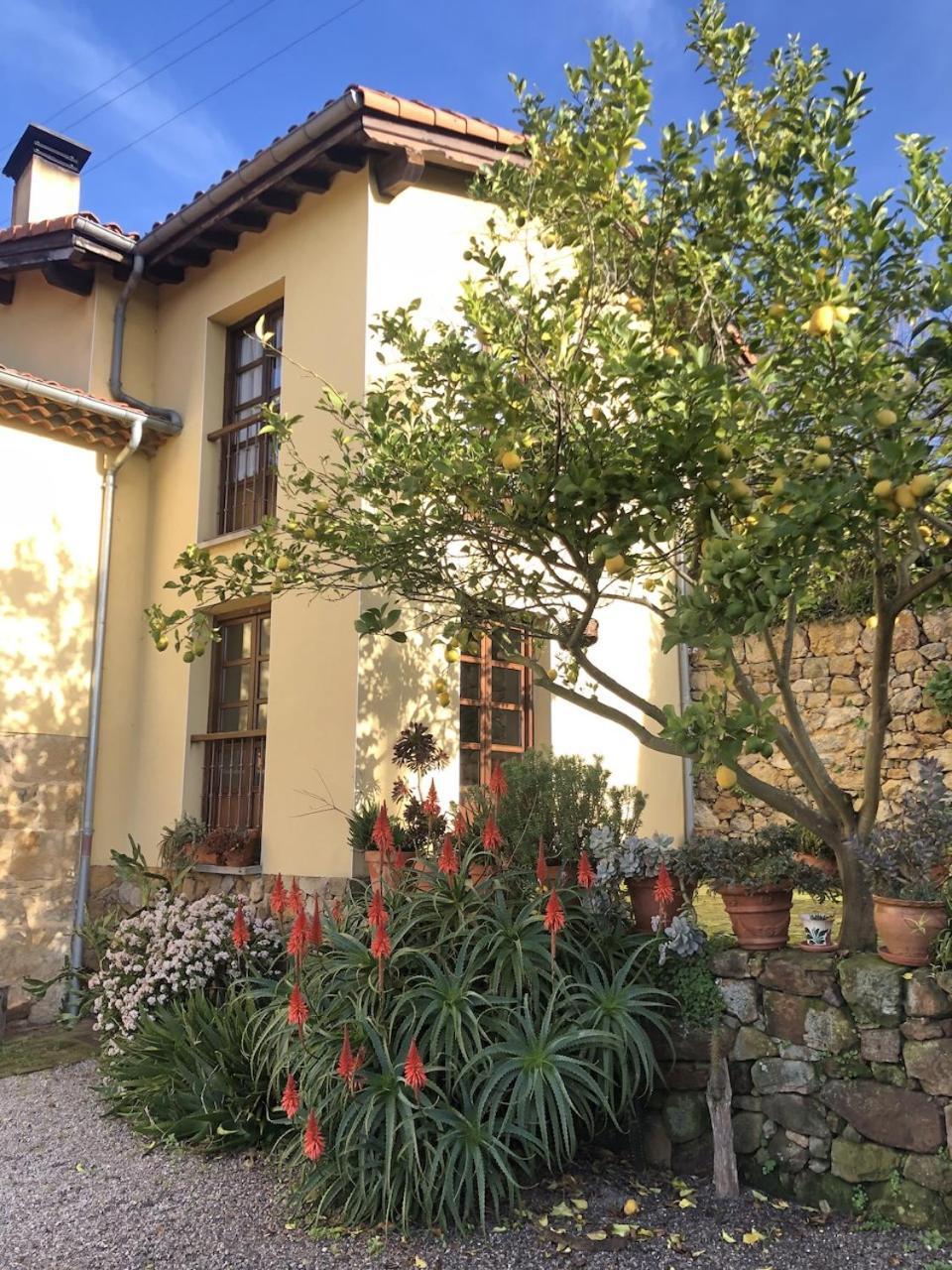 Casa Rural Trebol4Hojas San Pedro  Exteriör bild