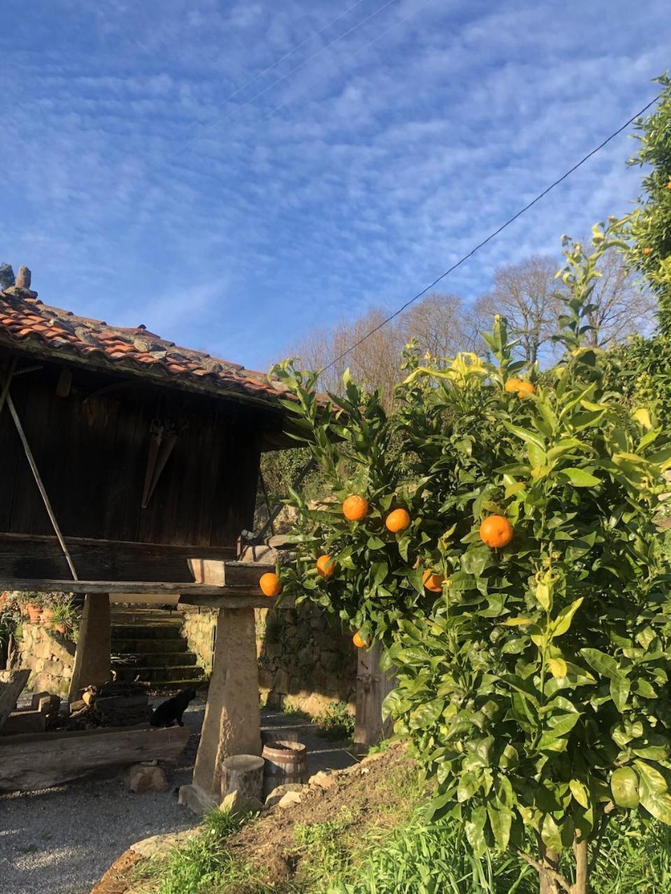 Casa Rural Trebol4Hojas San Pedro  Exteriör bild