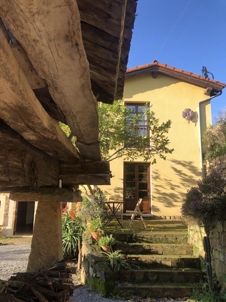 Casa Rural Trebol4Hojas San Pedro  Exteriör bild